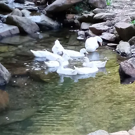 A Casinha Do Cantinho *