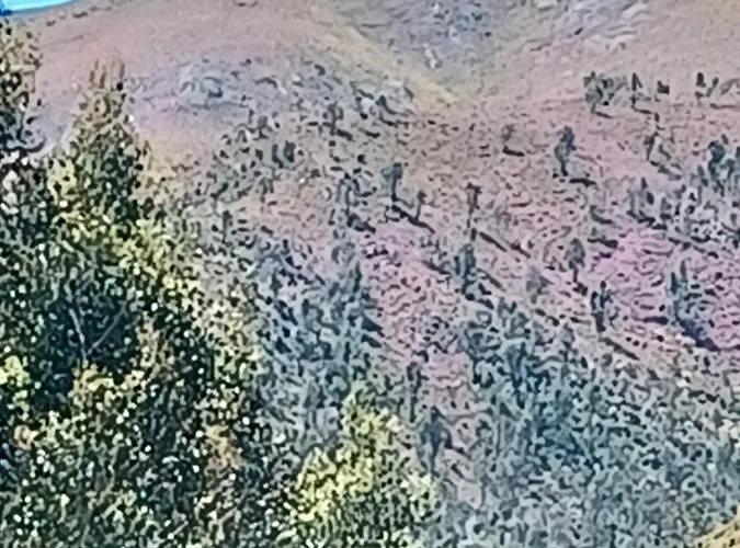 A Casinha Do Cantinho Σπίτι διακοπών Αρούκα