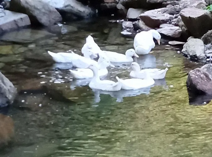 A Casinha Do Cantinho *